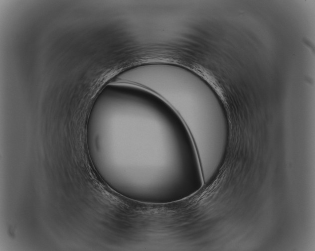 X0000093360385200710111312