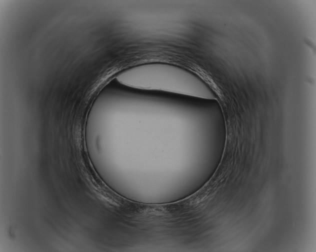 X0000093360386200710111312