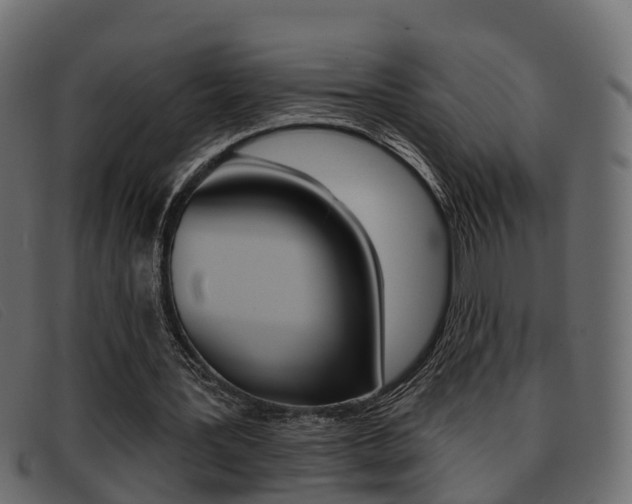 X0000093360387200710111312