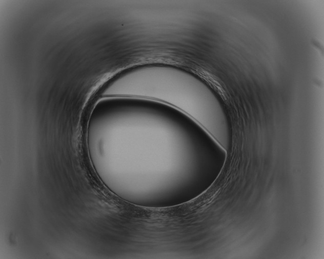 X0000093360388200710111312