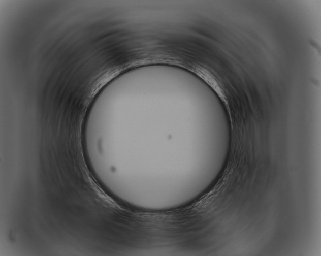 X0000093360389200710111312