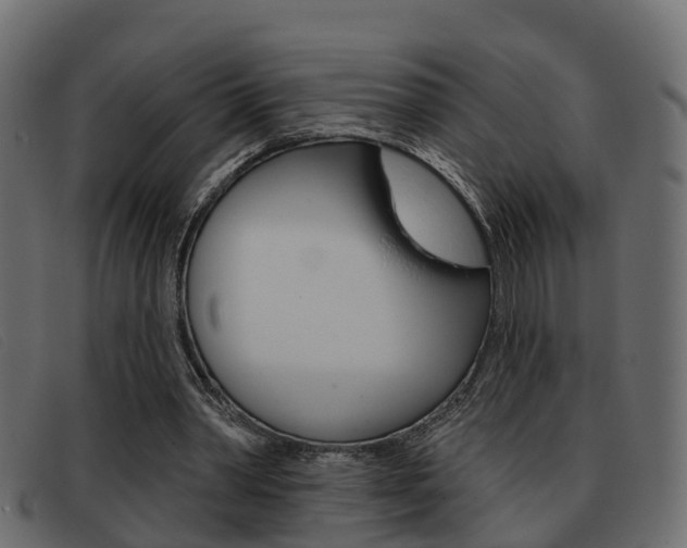 X0000093360390200710111312