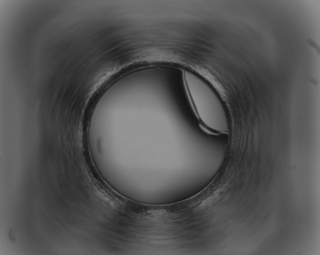 X0000093360391200710111312