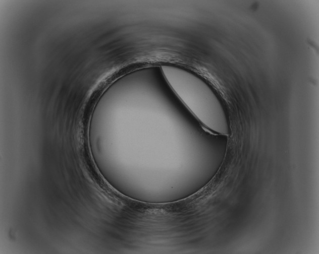 X0000093360392200710111312