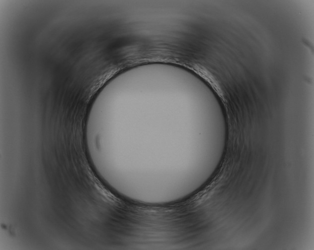 X0000093360393200710111312