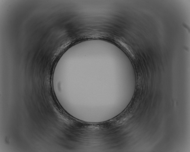 X0000093360394200710111312