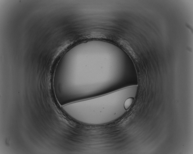 X0000093360395200710111312