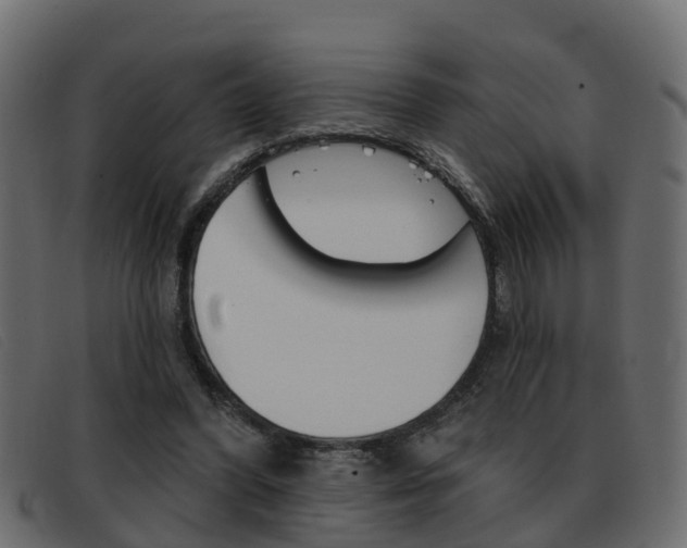 X0000093360396200710111312