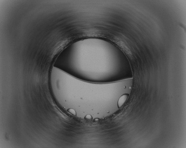 X0000093360397200710111312