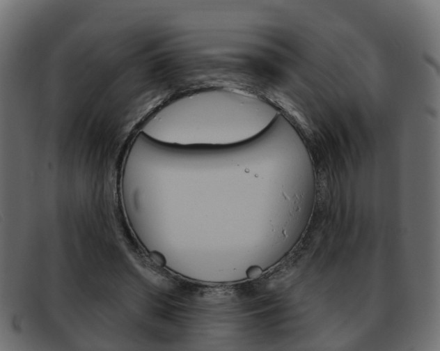 X0000093360398200710111312
