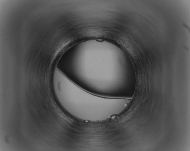 X0000093360399200710111312