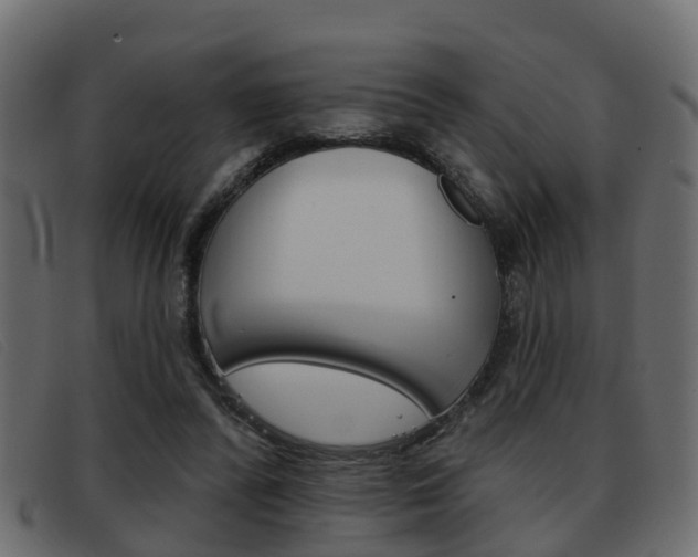 X0000093360400200710111312