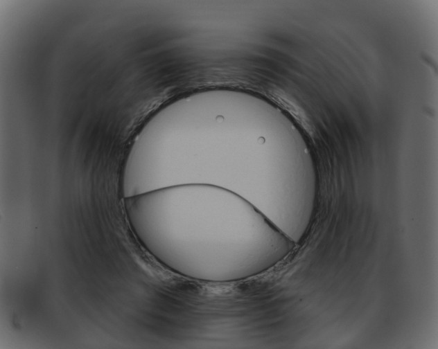 X0000093360401200710111312