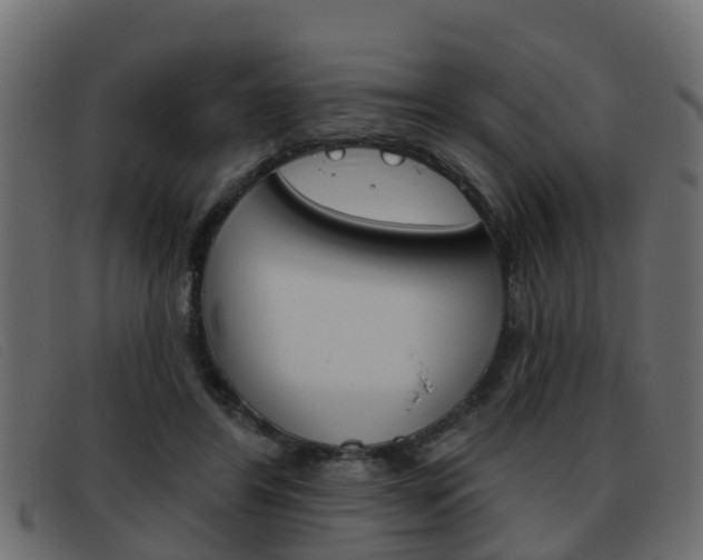 X0000093360404200710111312