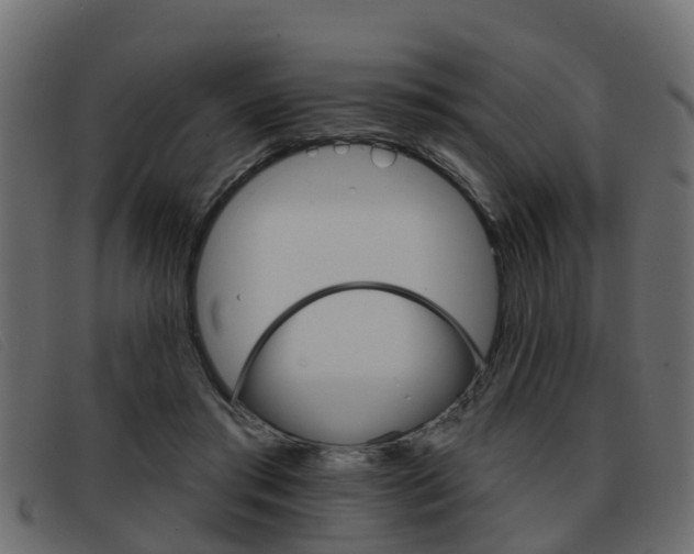 X0000093360405200710111312