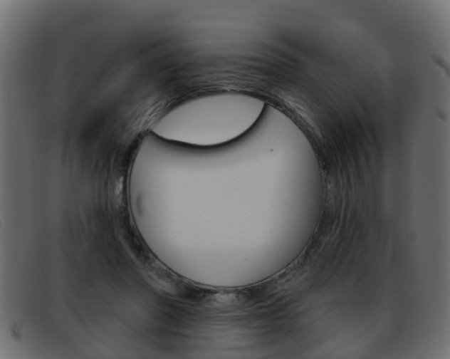 X0000093360406200710111312