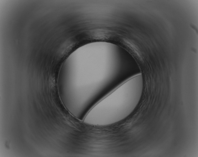 X0000093360407200710111312
