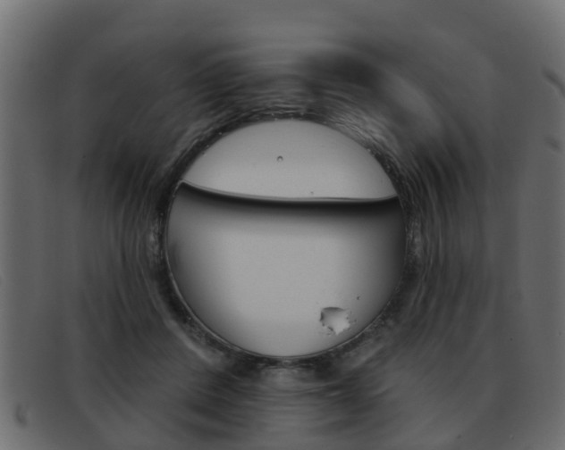 X0000093360408200710111312