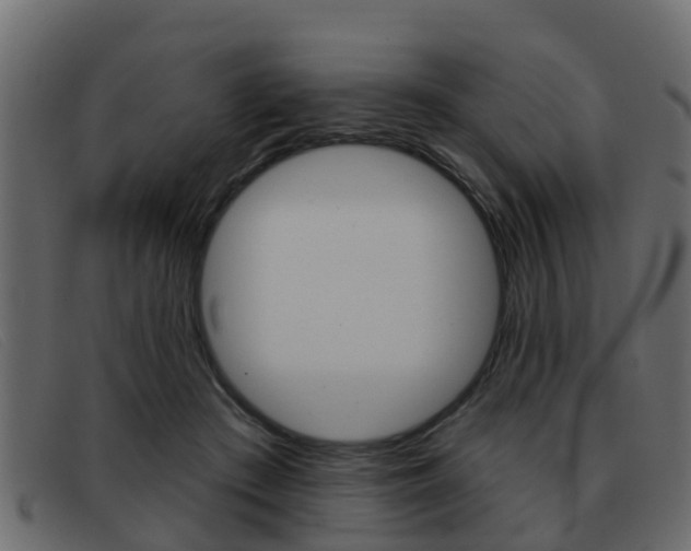 X0000093360409200710111312