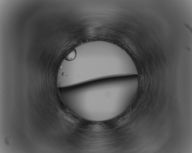 X0000093360412200710111312