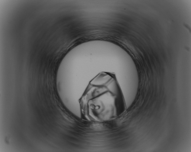 X0000093360413200710111312