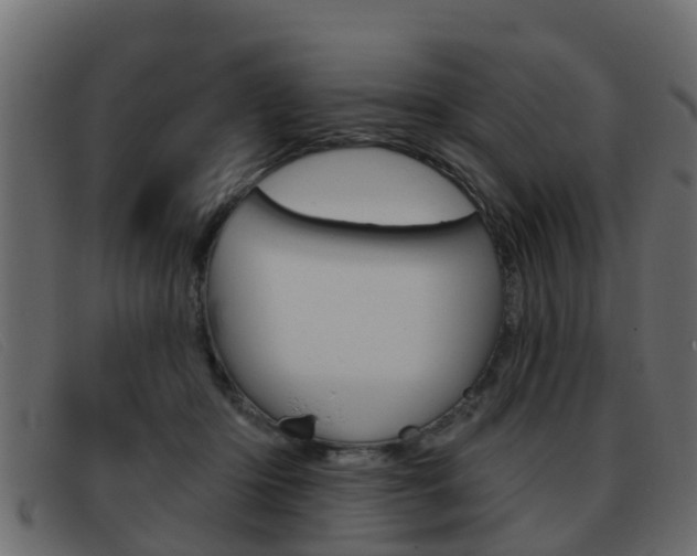 X0000093360414200710111312