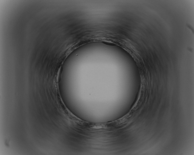 X0000093360415200710111312
