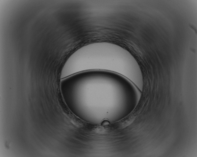 X0000093360416200710111312