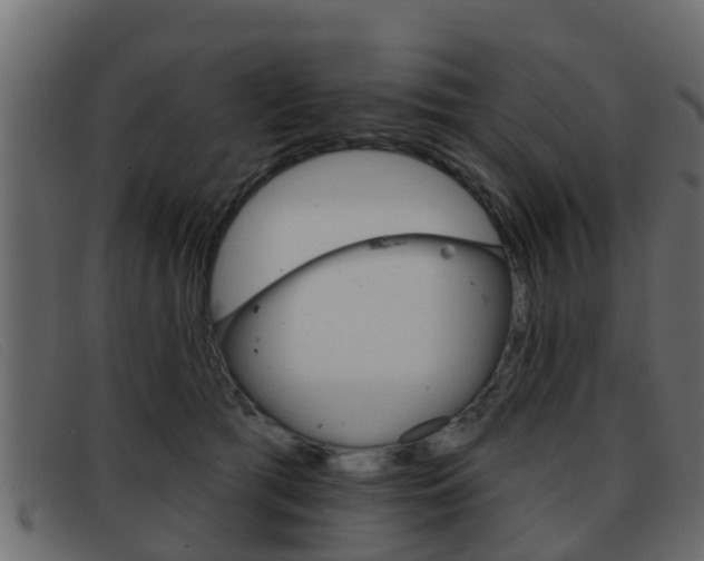 X0000093360417200710111312