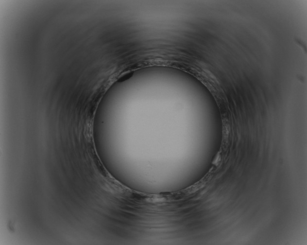 X0000093360419200710111312