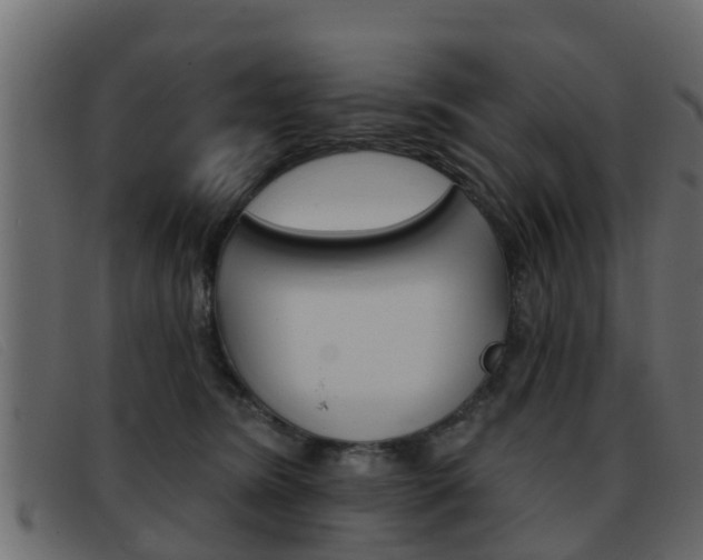 X0000093360420200710111312