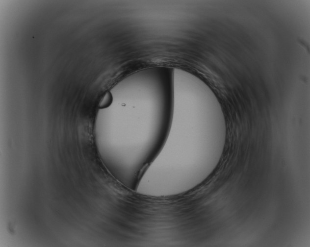 X0000093360421200710111312