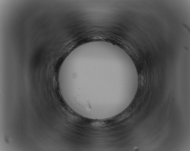 X0000093360422200710111312