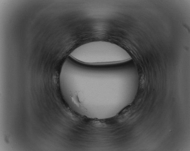 X0000093360424200710111312