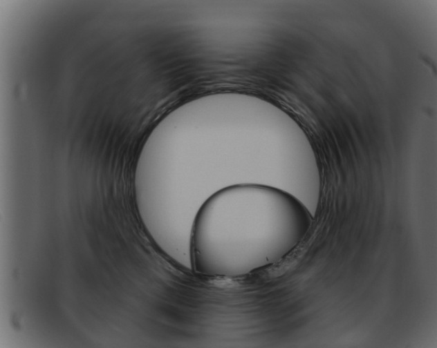 X0000093360425200710111312