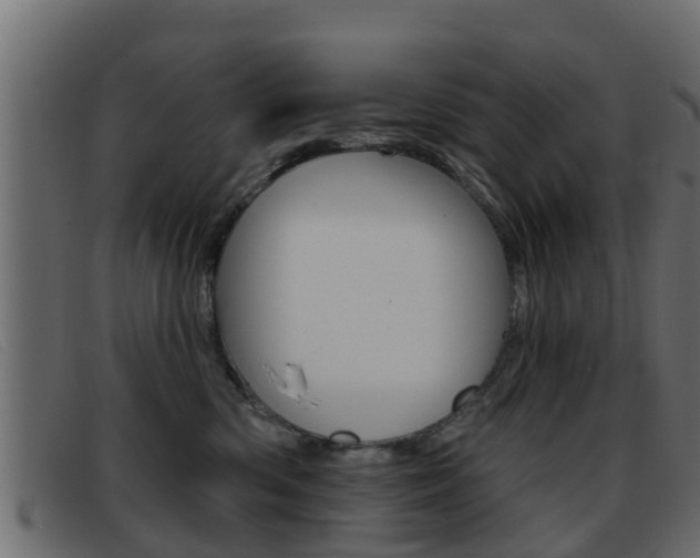 X0000093360426200710111312