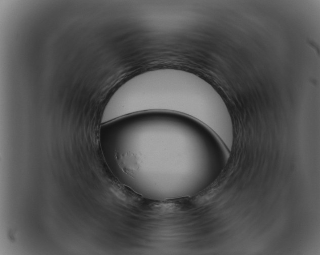 X0000093360428200710111312