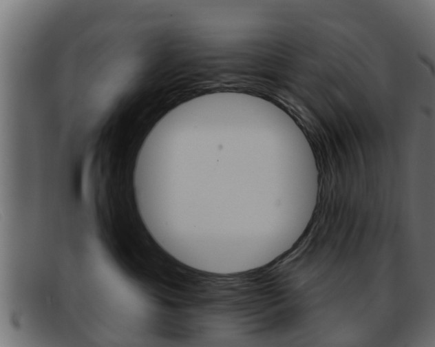 X0000093360429200710111312