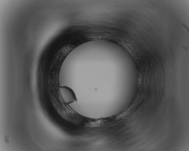 X0000093360430200710111312