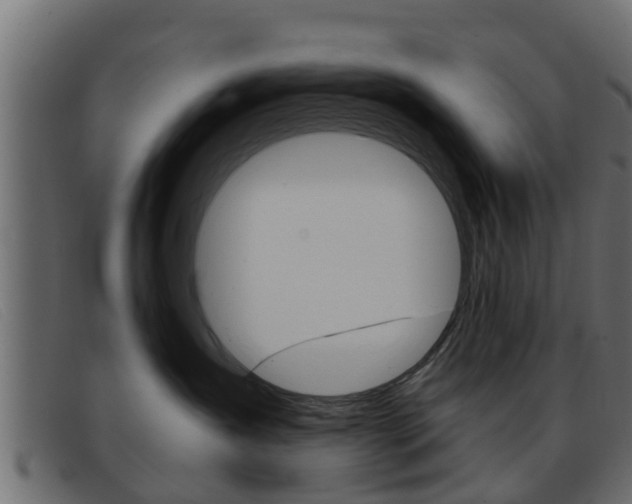 X0000093360431200710111312