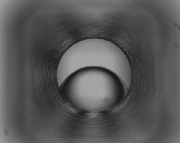 X0000093360432200710111312