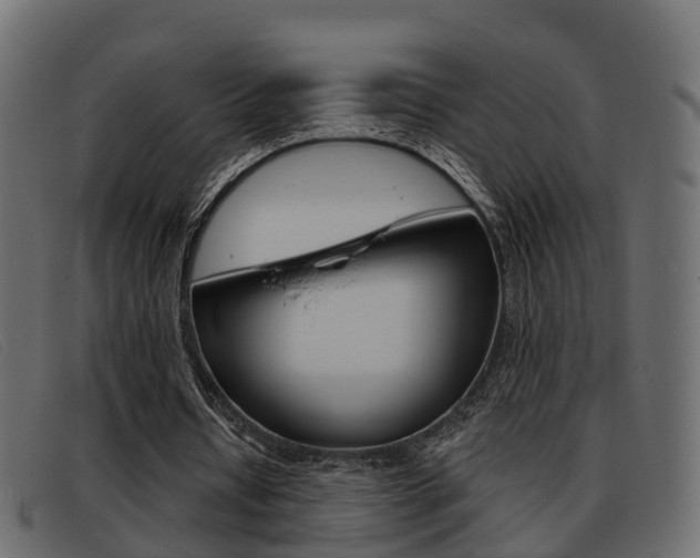X0000093360434200710111311