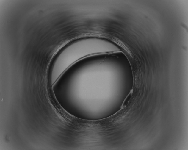 X0000093360436200710111311
