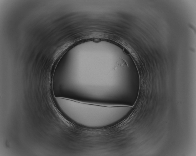 X0000093360437200710111311