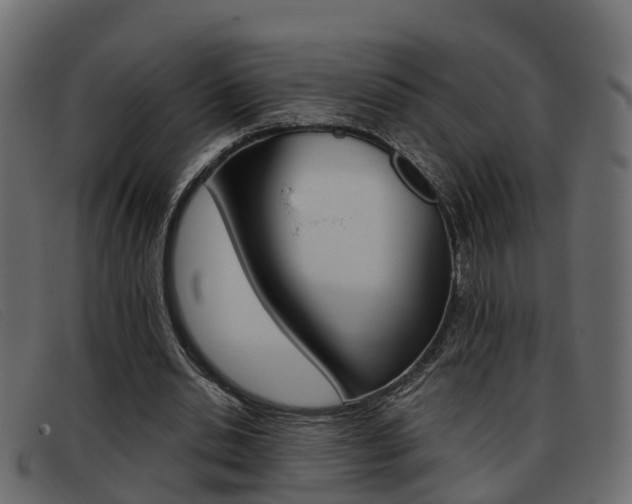 X0000093360438200710111311