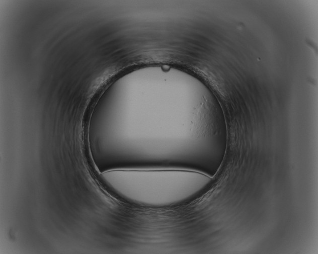 X0000093360439200710111311