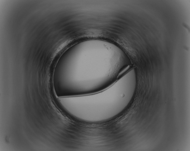 X0000093360440200710111311