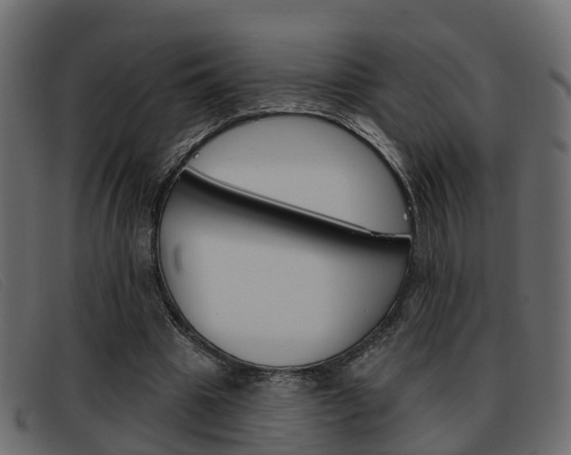 X0000093360441200710111311