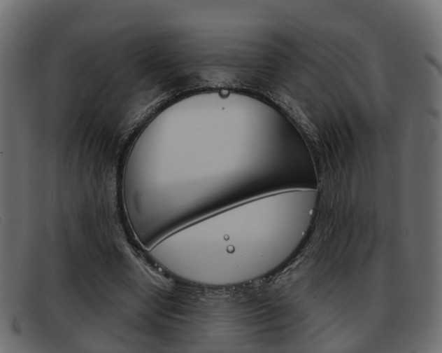 X0000093360442200710111311