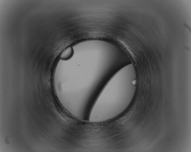 X0000093360443200710111311